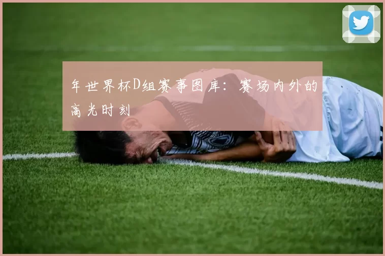 年世界杯D组赛事图库:赛场内外的高光时刻