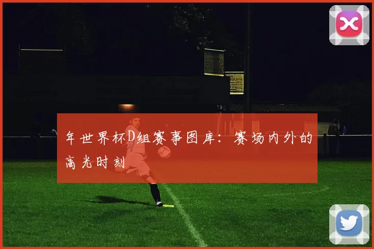 年世界杯D组赛事图库:赛场内外的高光时刻
