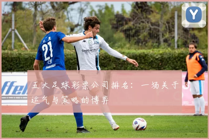 五大足球彩票公司排名：一场关于运气与策略的博弈