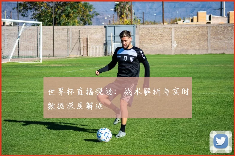 世界杯直播现场：战术解析与实时数据深度解读