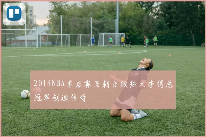 2014NBA季后赛马刺击败热火夺得总冠军创造传奇