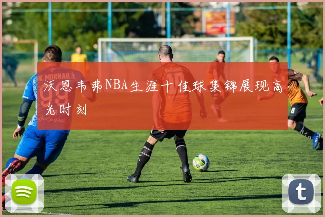 沃恩韦弗NBA生涯十佳球集锦展现高光时刻