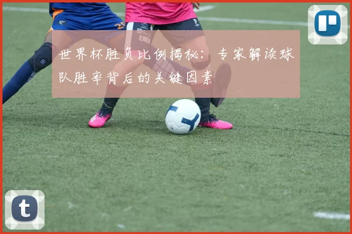世界杯胜负比例揭秘：专家解读球队胜率背后的关键因素