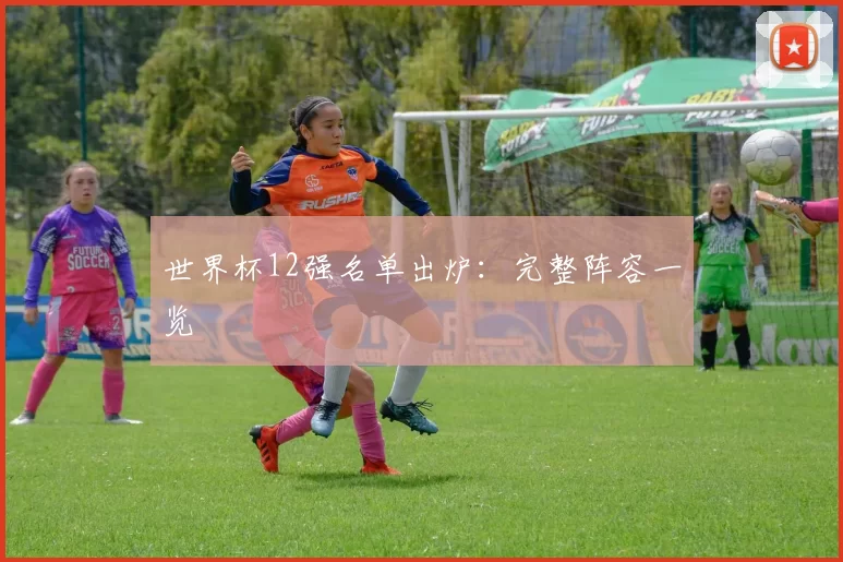 世界杯12强名单出炉：完整阵容一览