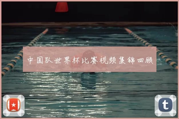 中国队世界杯比赛视频集锦回顾